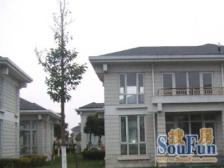 海景别墅 600多平大花园 三层别墅 满五 钥匙房