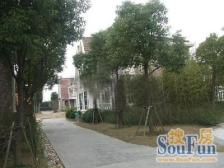 海湾低Chao便宜独栋别墅满屋随时可以看房