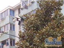 总价低小区中间位置有车库价格可以沟通