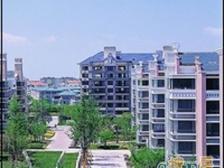 百合苑一楼带大花园 满五年 近宝龙商圈五号线 物业好