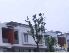 南京西路·威海别墅·6室·2厅