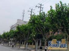 开鲁六村2室南朝向229.00万元/套出售