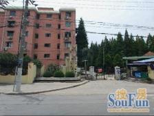 杨浦区中原开鲁六村一楼全明户型 4室1厅带院子