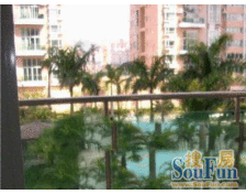 舒城苑 2室2厅 南 北