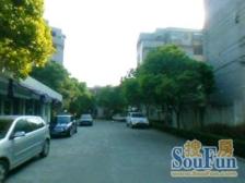 大花园来啦,大花园来啦,采光完全没有遮挡!