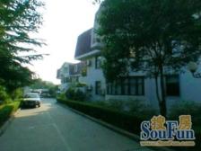 锦苑公寓3室南朝向795.00万元/套出售