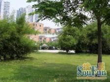 青青白洋淀4室南朝向898.00万元/套出售