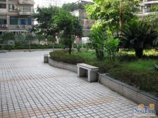 冉家坝 富悦大厦三房155万