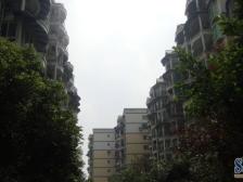 一梯两户住家装修交通方便业主诚心出售