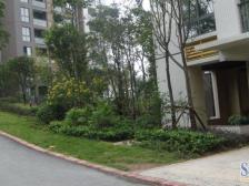 东衡槟城 2室1厅 南