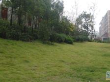 兰亭新都汇旁单间配套,领包入住,业主诚心出售