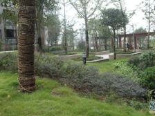 此房户型方正,在回兴片区很便宜的电梯房