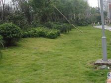 回兴 东衡槟城二房50万