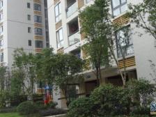 中庭 实木家居 商圈轻轨旁 精装电梯两房 渝北回兴