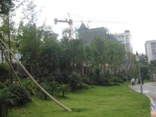 此房朝向好 户型方正 视线好 看公园