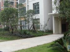 蘭亭新都汇旁 精装两室 业主急售