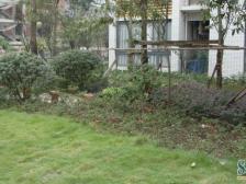 回兴 东衡槟城二房95万