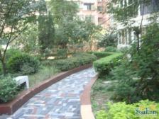 近菜市场 高楼层采光好 业主诚心卖 价格可以谈