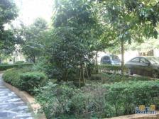 此房户型方正 中间楼层3楼 住家安静 看房方便