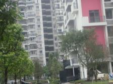 回兴 蓝色星空金牛座二房51万