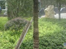 回兴 水木年华二房120万