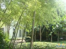 此房户型方正,可拎包入住,交通方便