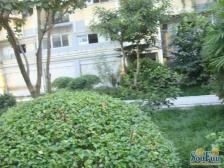 双轻轨 新都汇旁 中间楼层 精装带质保