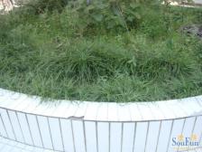 随时看房 ,买一带一层 视野开阔