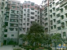 近轻轨近商圈低楼层位置好总价低