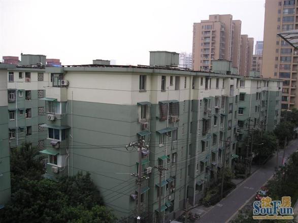 采荷绿萍