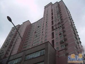 黄浦区地铁双轨交汇电梯大两房高区精装修景观房