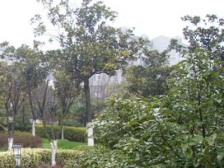 延平路259弄 1室1厅 南