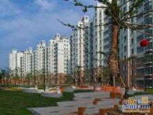 枫桦景苑一期顶楼复式四房,有大露台,小区前排位置