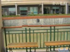近百联 近金山卫站 海棠 大面积五房