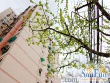 内环内景观无遮挡 轨交房 新上房源 铂金地段