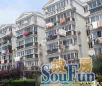 新华苑 3室2厅 南