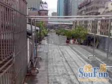 南北通老公寓,三米二层高,一层两户,两房两卫屋况好