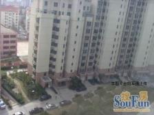 徐家汇03年小区+稀售三开间朝南大两居+中高区+满五