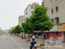 南北通风好,两南一北的飞机户型