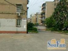 带10平天井 采光充足 南北格局 通风好