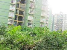 凤天路 凤天锦园四房180万