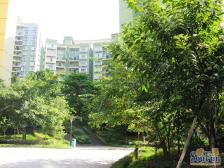 凤天路 凤天锦园三房110万