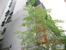 三峡广场旁,房屋格局通透采光好,交通便利,居家安静