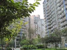 建峰小区精装大三房带观景阳台居家安静 2T4户总高18层