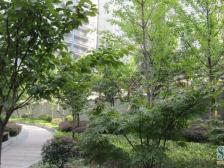 建峰小区精装三房,户型方正,看公园看湖,拎包入住