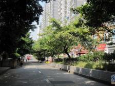 加州新牌坊 锦龙支路二房