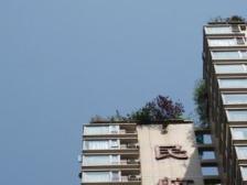 加州新牌坊 民航大厦四房120万