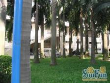 复式大宅 带私家平台花园 舒适宜居