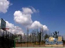 满五高区景观楼层四开间朝南采光好视野佳