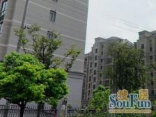 东森花园4室南朝向1420.00万元/套出售